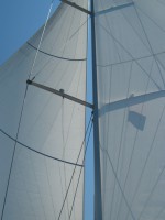 /album/www-sycoraxkft-hu/img-5611-jpg/