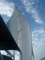 /album/www-sycoraxkft-hu/p1020665-jpg/